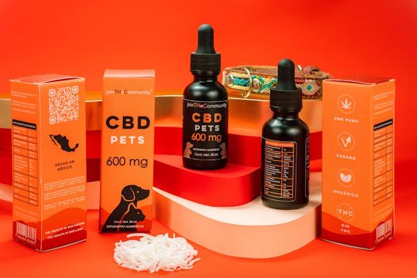 5 astuces pour apaiser l'agressivité chez les chats